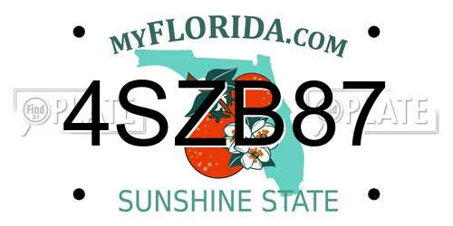 4SZB87 Florida License Plate