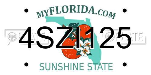 4SZI125 Florida License Plate