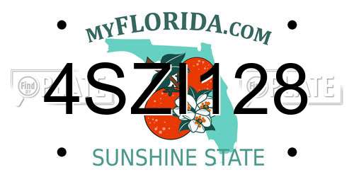 4SZI128 Florida License Plate