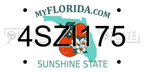 4SZI175 Florida License Plate