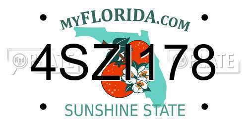 4SZI178 Florida License Plate