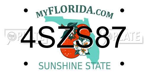4SZS87 Florida License Plate