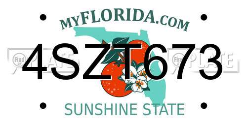 4SZT673 Florida License Plate