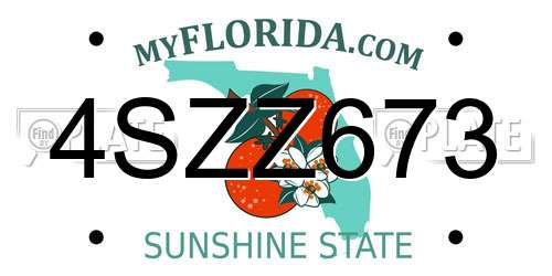 4SZZ673 Florida License Plate