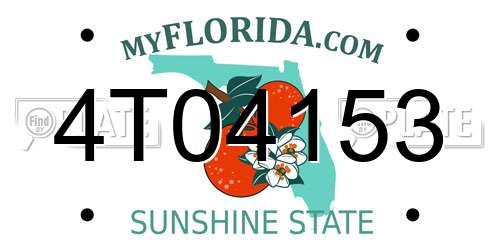 4T04153 Florida License Plate