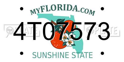 4T07573 Florida License Plate