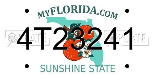 4T23241 Florida License Plate