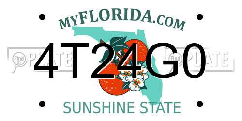 4T24G0 Florida License Plate