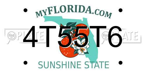 4T55T6 Florida License Plate