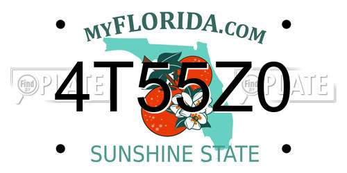4T55Z0 Florida License Plate