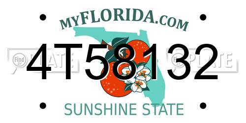 4T58132 Florida License Plate