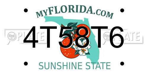 4T58T6 Florida License Plate
