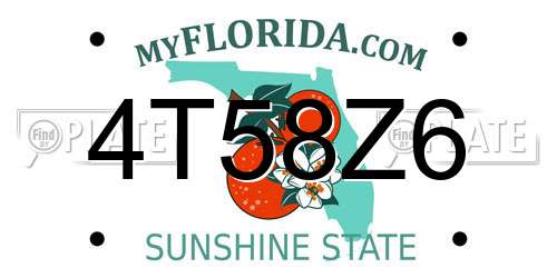 4T58Z6 Florida License Plate