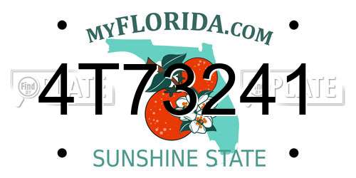 4T73241 Florida License Plate
