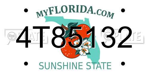 4T85132 Florida License Plate