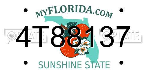 4T88137 Florida License Plate