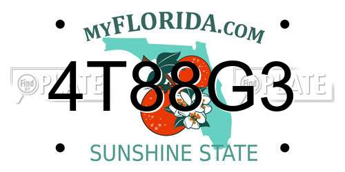 4T88G3 Florida License Plate