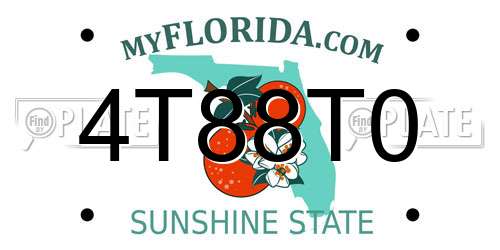 4T88T0 Florida License Plate