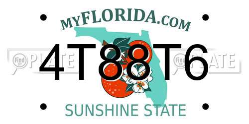 4T88T6 Florida License Plate