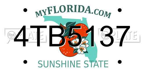 4TB5137 Florida License Plate