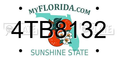 4TB8132 Florida License Plate