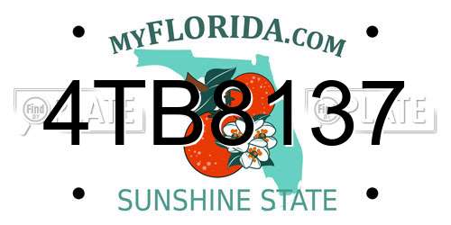 4TB8137 Florida License Plate