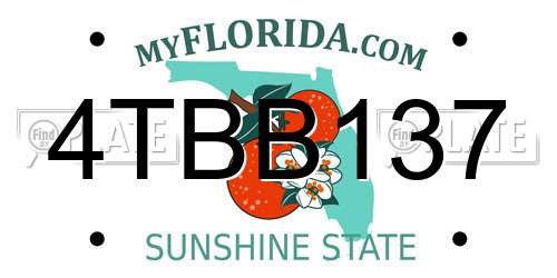 4TBB137 Florida License Plate
