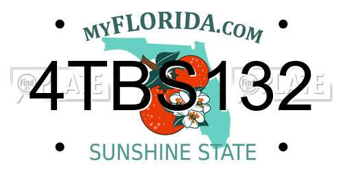 4TBS132 Florida License Plate