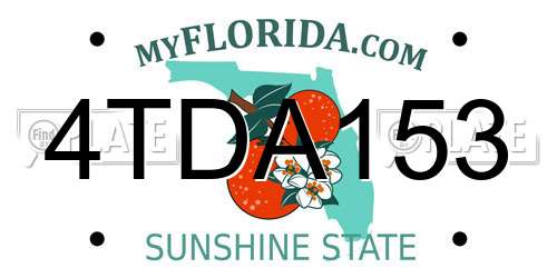 4TDA153 Florida License Plate