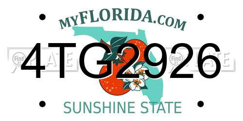 4TG2926 Florida License Plate