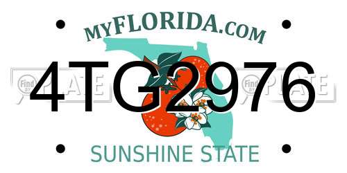 4TG2976 Florida License Plate