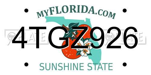 4TGZ926 Florida License Plate