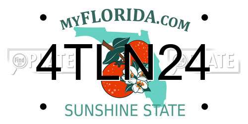 4TLN24 Florida License Plate