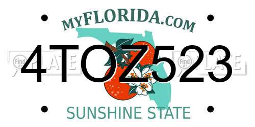 4TOZ523 Florida License Plate