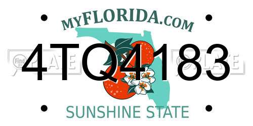 4TQ4183 Florida License Plate