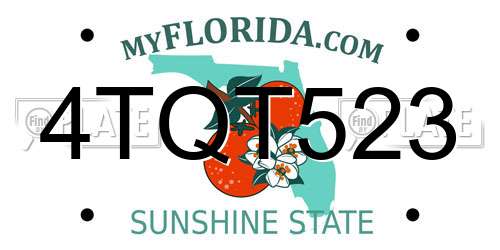 4TQT523 Florida License Plate