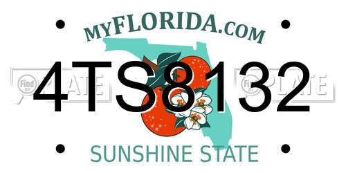 4TS8132 Florida License Plate