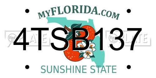 4TSB137 Florida License Plate