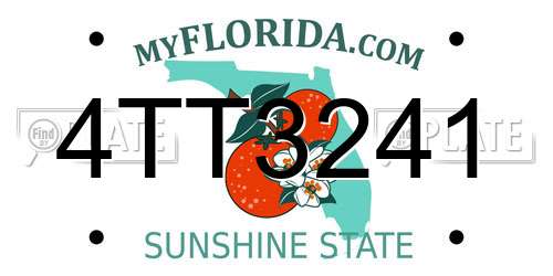 4TT3241 Florida License Plate