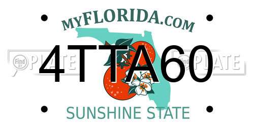 4TTA60 Florida License Plate