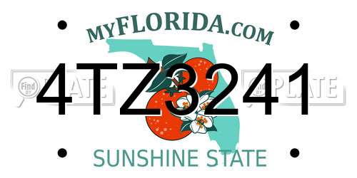 4TZ3241 Florida License Plate
