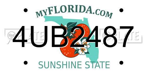 4UB2487 Florida License Plate