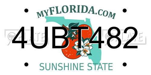 4UBT482 Florida License Plate