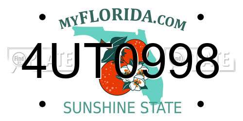4UT0998 Florida License Plate
