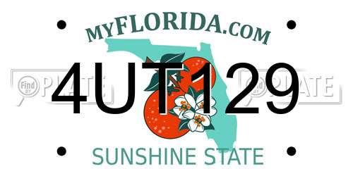 4UT129 Florida License Plate