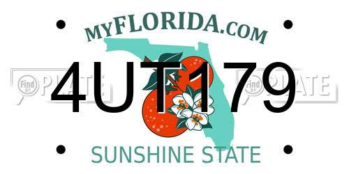 4UT179 Florida License Plate
