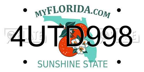4UTD998 Florida License Plate
