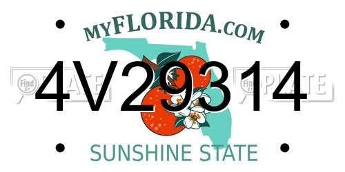 4V29314 Florida License Plate