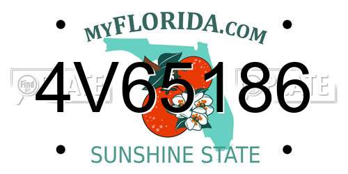 4V65186 Florida License Plate