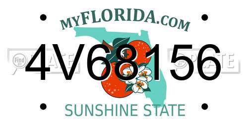 4V68156 Florida License Plate